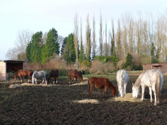 La troupe en hiver