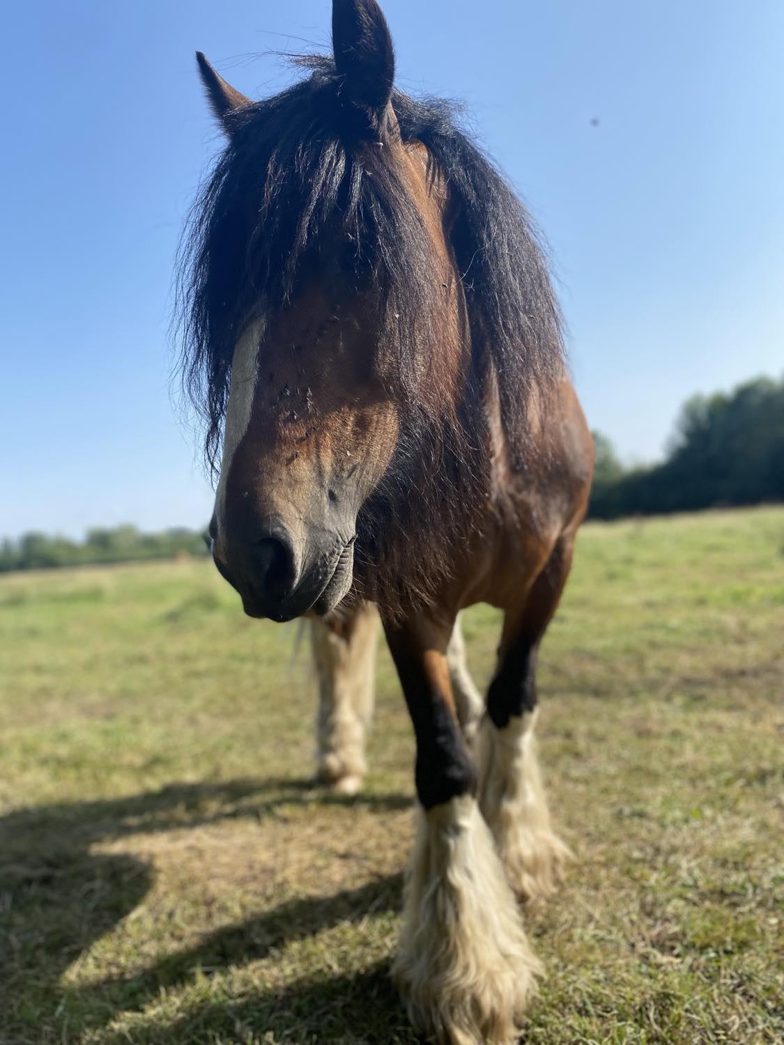 480801439 1032886525344759 5376220576375140778 n